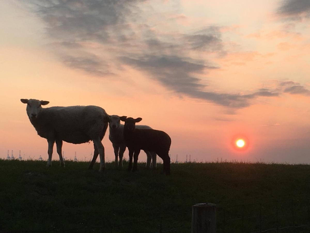 Annemaries Nordseehaus Butjadingen Eksteriør bilde