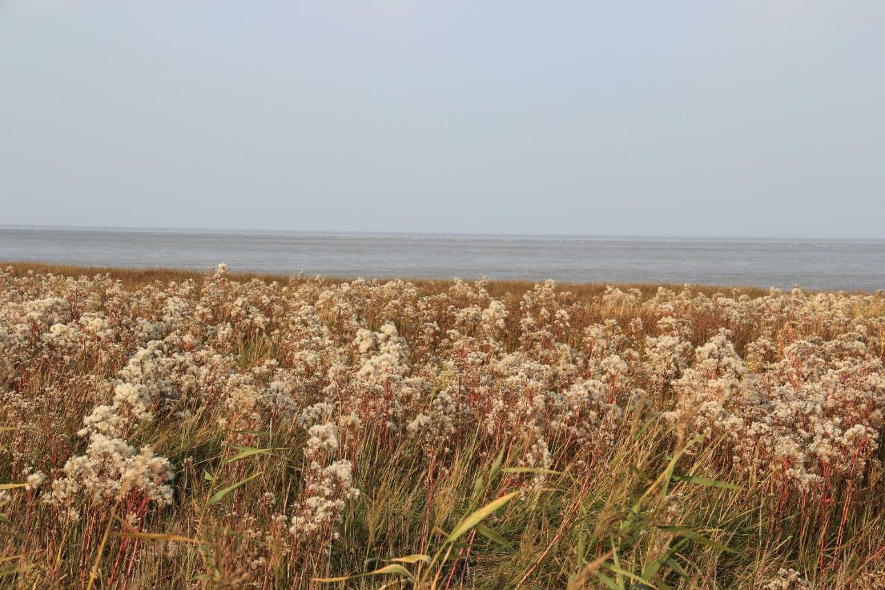 Annemaries Nordseehaus Butjadingen Eksteriør bilde